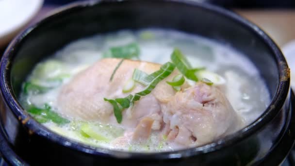 Koreanska Ginseng Kycklingsoppa Samgyetang — Stockvideo