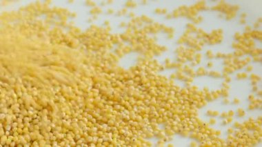 Yakın çekim darı tahıl plaka dökme 