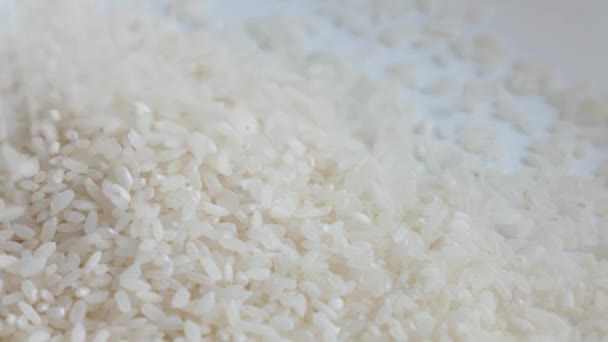 Yakın Çekim Inci Pirinç Dökülen Taneleri Plaka Içine — Stok video