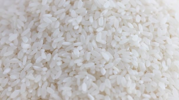 Close Pearl Rice Rotation — Stok Video