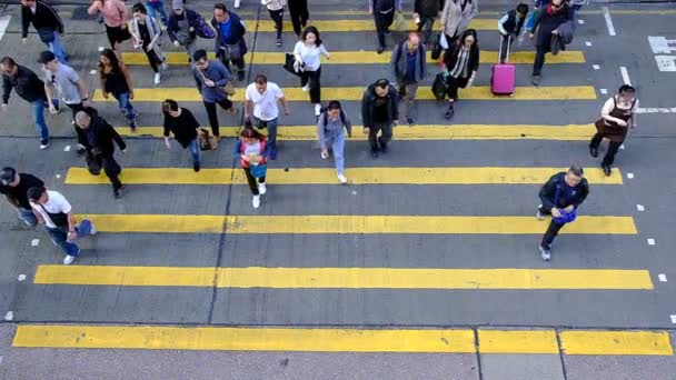 Kowloon Hong Kong February 2019 View Slow Motion Crosswalk Throng — Stock Video