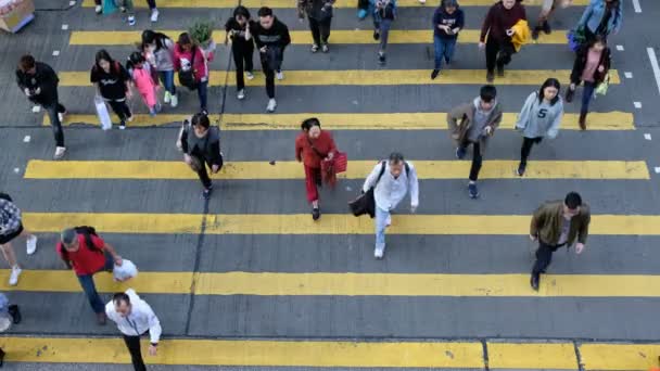 香港九龙 2019年2月11日 在高峰时段看到人行横道群人群在高峰时段横穿马路 — 图库视频影像