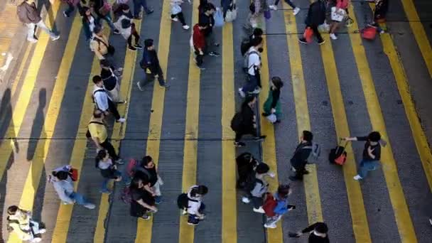 Kowloon Hong Kong Febrero 2019 Vista Hacia Abajo Hasta Multitud — Vídeos de Stock