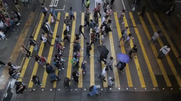 Kowloon Hongkong April 2019 Visa Ner Till Övergångsställe Throng Spa — Stockvideo