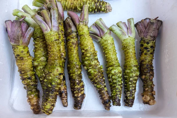 Root Of Raw Japanese Wasabi In Foam Box — Stock Photo, Image