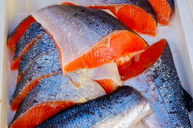 Tsukiji Pazarı 'nda köpük içinde çiğ somon balığı.