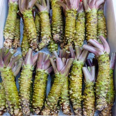 Çiğ Japon Wasabi 'nin Köpük Kutusu Kökü 