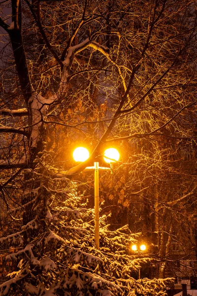 Şehir Parkı Kış Zamanı — Stok fotoğraf