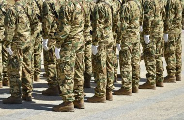 Soldiers standing in a row at the military parade clipart
