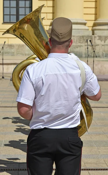 Military Brass Band Member Instrument — Stock Photo, Image