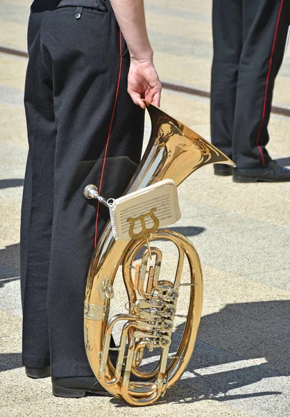 Military brass band member with instrument