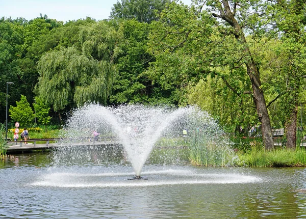 Fontein Vijver Naast Een Bos — Stockfoto