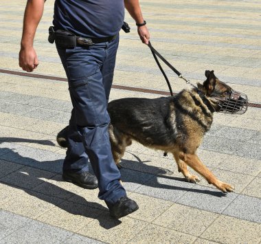 Polis memuru ve Alman çoban köpeği