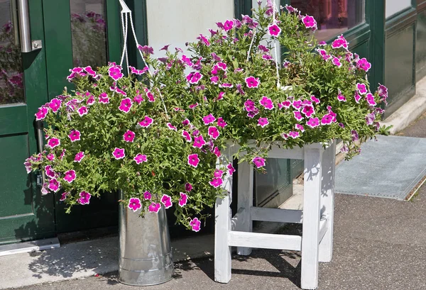 Fiori Viola All Aperto Uno Sgabello — Foto Stock