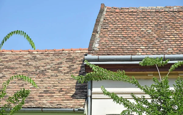 Telhados Casa Folhas Árvore — Fotografia de Stock