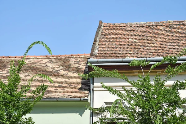 Roofs Old Houses City — Stock Photo, Image