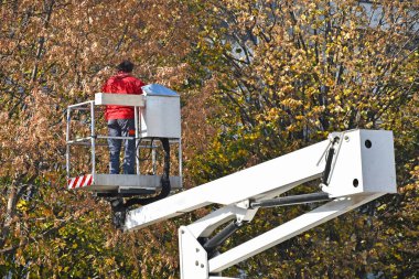 Bir kamyon üzerinde mobil Asansör