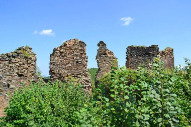 Bir kale Transilvanya Romanya eski yıkık duvar