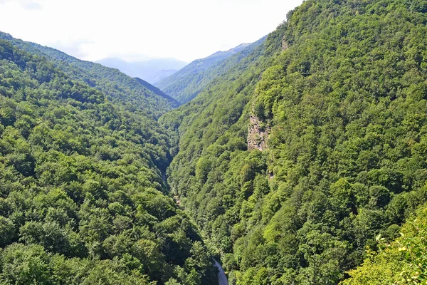 ルーマニア トランシルヴァニア山中 — ストック写真