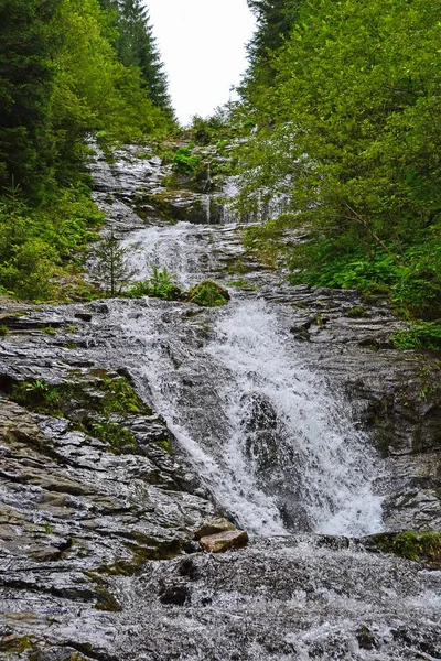 夏の森の中の滝 — ストック写真