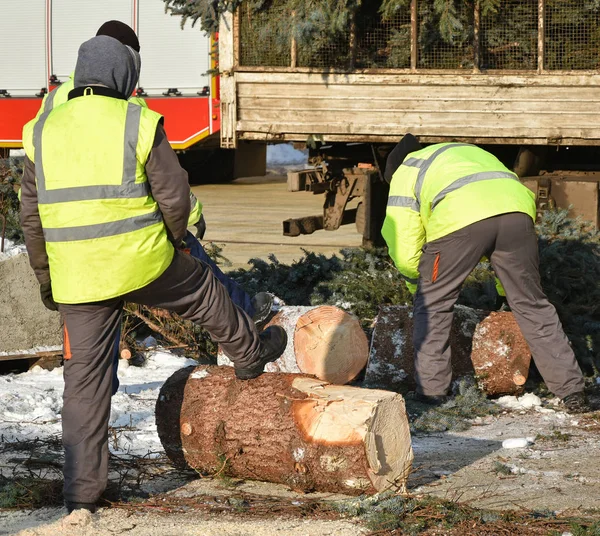 Lumberjack Tempat Kerja Musim Dingin — Stok Foto