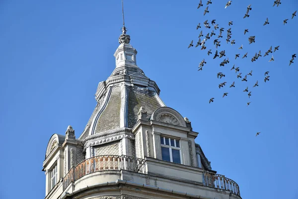 Torre del edificio del hotel con palomas — Foto de Stock