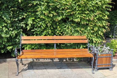 Şehir parkında bank