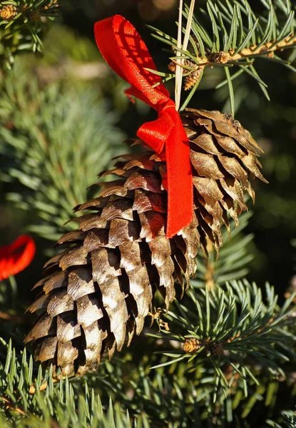 Cono de pino en el árbol de Navidad —  Fotos de Stock