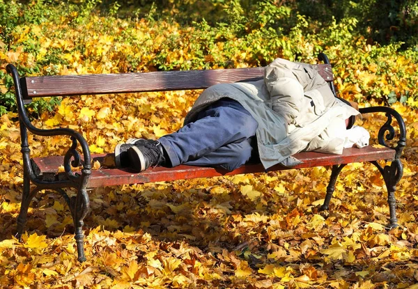 Homeless man is sleeping on a bench in the woods Stock Picture