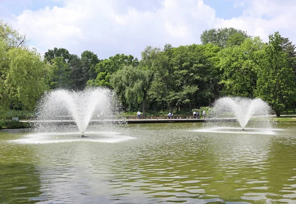 Fountains in the pond next to the woods — Stock Photo, Image