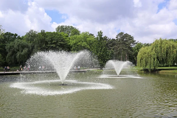 Fountains in the lake near the woods — Stock Photo, Image