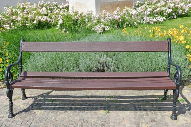 Yaz aylarında parkta Bench