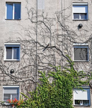 Bir binanın duvarındaki kuru tırmanış tesisleri