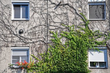 Bir binanın duvarındaki kuru tırmanış tesisleri