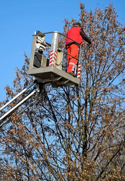 Orang bekerja di lift tinggi outdoor — Stok Foto