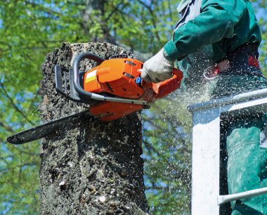 Lumberjack yükseklikte bir testere ile çalışır