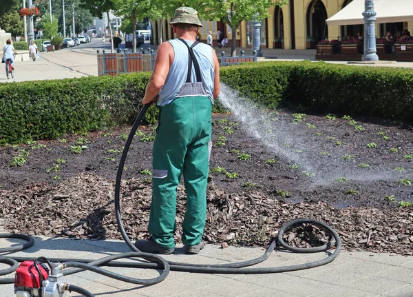 Jardinero está regando las plantas en la calle de la ciudad — Foto de Stock