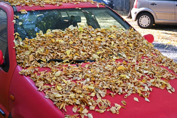 Rode auto bedekt met bladeren in de herfst — Stockfoto