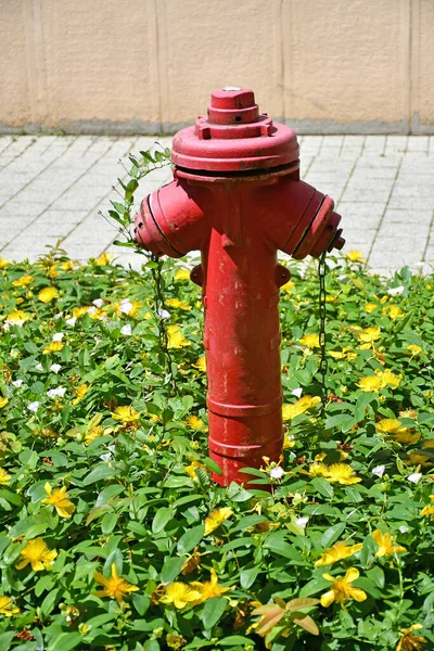 Κόκκινο Μεταλλικό Πυροσβεστικό Κρουνό Στο Πάρκο — Φωτογραφία Αρχείου