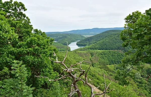 Vista Das Montanhas Lazberc Hungria — Fotografia de Stock