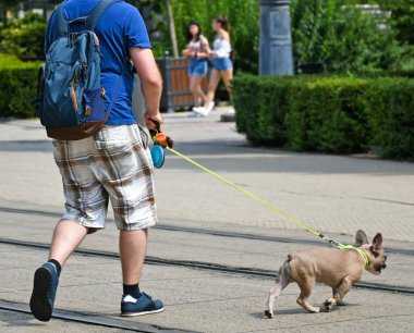 Adam sokak ortasında köpeği gezdiriyor.