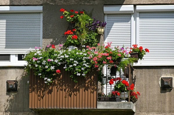 Balkon Eines Gebäudes Mit Blumen — Stockfoto