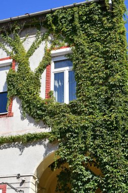 Eski bir binanın duvarına tırmanmak.