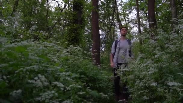 Jovem Caucasiano Atravessa Floresta Com Uma Mochila — Vídeo de Stock