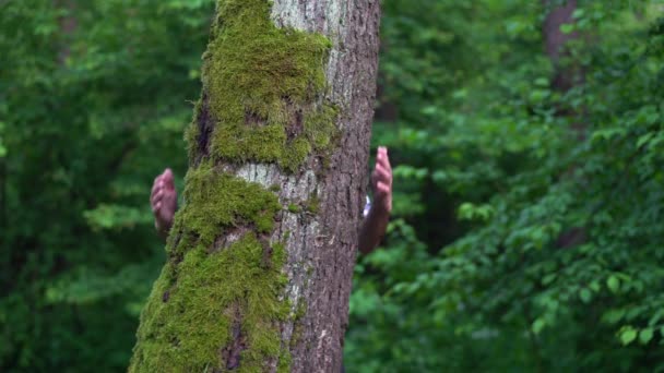 Uomo Abbraccia Con Mani Albero Della Foresta Dietro Concetto Ambientale — Video Stock
