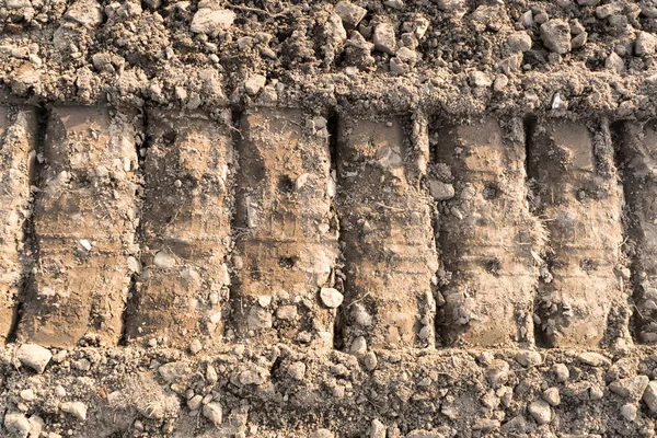 Track Open Field Road Track Tank Tracks Ground — Stock Photo, Image