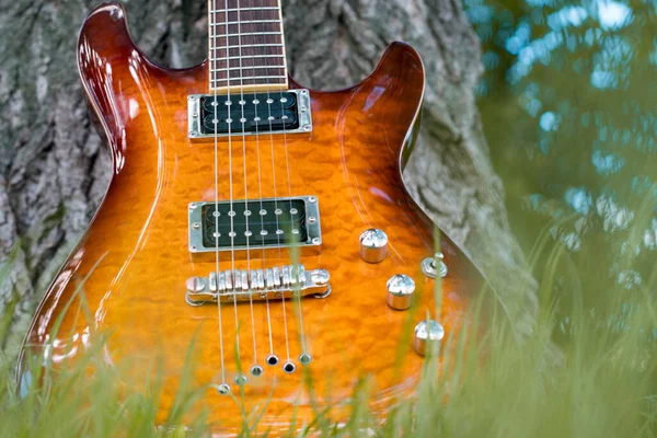 Altın kehribar güneş patlaması elektro gitar çimlerin üzerindeki bir ağacın altında. Doğadaki bir müzik aletini kapat.