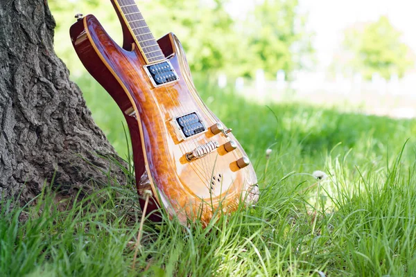 Altın kehribar güneş patlaması elektro gitar çimlerin üzerindeki bir ağacın altında. Doğadaki bir müzik aletini kapat.