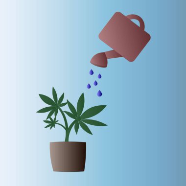 Ot sulamada marihuana. Kenevir bitkisi, sulama, bir damla su. Düz vektör illüstrasyonu.
