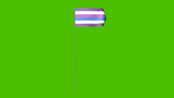 Isompi Sateenkaaren Lippu Heiluu Tuulessa Animaatio Bigender Lippu Vihreällä Näytöllä — kuvapankkivideo